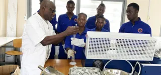 daip-un-outil-au-service-de-lapprentissage-et-de-linsertion-professionnelle-des-jeunes