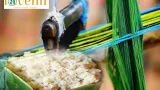 produits made in cote divoire lattieke et le pagne baoule bientot labelises