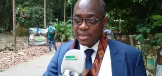 developpement-durable-de-lafrique-voici-les-3-cles-du-progres-economique-pronees-par-des-chercheurs