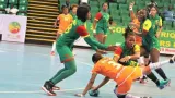 can handball dames les elephantes tombent les armes a la main