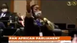 bagarre au parlement panafricain mariam traore fait de graves revelations et enfonce julius malema