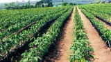 journees de ladministration agricole delocalisee jaad la 10eme edition prevue du 08 au 10 decembre 2022 dans le moronou