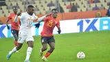 interview ande cirille defenseur des elephants a lalgerie nest pas invincible