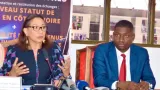 nouveau statut de lartiste francoise remarck exhorte a intensifier les initiatives vers les partenaires
