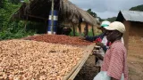 cafe cacao securisation de leurs finances les producteurs vont disposer de carte de paiement electronique
