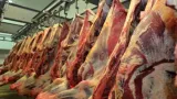 filiere viande le gouvernement veut combler un deficit de 55 4