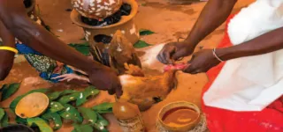 bouake-fetichisme-a-kpo-kahankro-deux-individus-ecopent-de-5-ans-de-prison