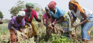 psgouv-2-lutte-contre-la-pauvrete-comment-des-beneficiaires-se-sont-realises