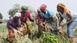 psgouv 2 lutte contre la pauvrete comment des beneficiaires se sont realises