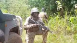 lutte contre le terrorisme 1300 soldats africains et les forces speciales americaines en formation a jacqueville