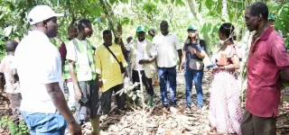 environnement-la-fao-veut-restaurer-le-couvert-forestier-ivoirien