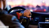 lutte contre les infractions routieres les chauffeurs des patrons des entreprises desormais cibles dans les sanctions