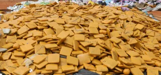 medicaments-prohibes-des-produits-frauduleux-et-14-tonnes-de-drogue-saisis