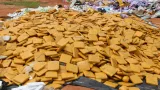medicaments prohibes des produits frauduleux et 14 tonnes de drogue saisis