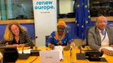 education bruxelles la ministre mariatou kone porte la voix de lafrique au parlement europeen