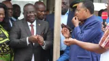 transformation locale du cacao sassou nguesso sous le charme du modele ivoirien