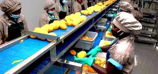 bonoua-une-usine-de-3-28-milliards-de-fcfa-inauguree