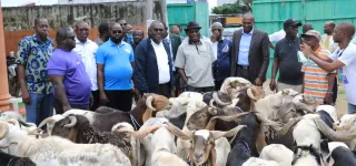 tabaski-ibrahim-konate-offre-150-moutons-et-10-boeufs-aux-populations
