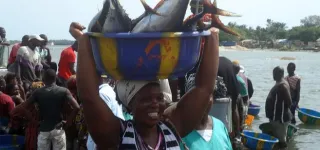 fermeture-de-la-peche-les-dessous-de-la-decision-du-gouvernement