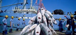 baisse-de-la-production-maritime-les-autorites-a-la-recherche-de-solutions