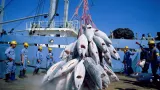 baisse de la production maritime les autorites a la recherche de solutions