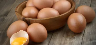 sante-mentale-loeuf-bon-pour-le-cerveau-et-la-memoire