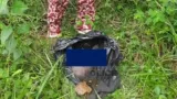 issia un oncle tue son neveu de 6 ans pour fetichisme