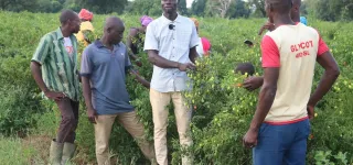 reportage-lutte-contre-le-terrorisme-par-des-actions-de-developpement-quand-le-travail-detourne-les-jeunes-de-laventure-djihadiste