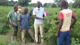 reportage lutte contre le terrorisme par des actions de developpement quand le travail detourne les jeunes de laventure djihadiste