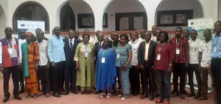 agriculture-des-experts-reflechissent-a-la-riposte-contre-les-maladies-virales-du-manioc-a-grand-bassam