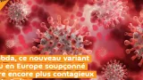lambda ce nouveau variant venu en europe soupconne detre encore plus contagieux que le delta