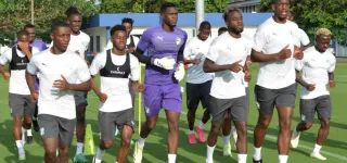 can-2023-cote-divoire-lesotho-seize-elephants-au-labo-aujourdhui