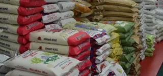 malgre-les-efforts-du-gouvernement-les-vraies-raisons-de-laugmentation-du-prix-du-riz-sur-les-marches