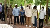 le bal des anciens a daoukro