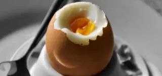 journee-mondiale-des-oeufs-loeuf-pour-sauver-lhumanite-de-la-faim-et-des-maladies