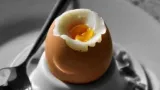 journee mondiale des oeufs loeuf pour sauver lhumanite de la faim et des maladies