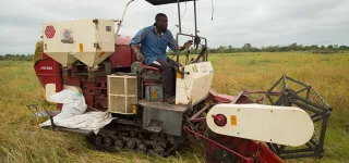 autosuffisance-alimentaire-riz-mais-legumes-la-cote-divoire-repense-ses-strategies-pour-accroitre-sa-production