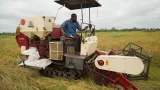 autosuffisance alimentaire riz mais legumes la cote divoire repense ses strategies pour accroitre sa production