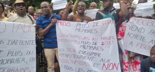 crise-immobiliere-au-midd-gnogbo-paul-cede-sous-la-pression-des-souscripteurs