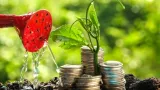 linitiative de la banque verte africaine quatre banques nouvelles vertes creees