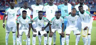 elimines-par-les-elephants-les-lions-de-la-teranga-mauvais-perdants