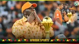 can 2023 ado trois etoiles elephants trois etoiles