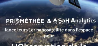 can-2023-apres-avoir-decroche-une-troisieme-etoile-sah-analytics-international-et-promethee-earth-intelligence-celebrent-les-elephants