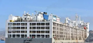 afrique-du-sud-un-navire-transportant-plus-de19-000-betes-maltraitees-a-quitte-la-ville-du-cap