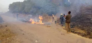 seguela-un-incendie-ravage-plusieurs-plantations-dans-un-village