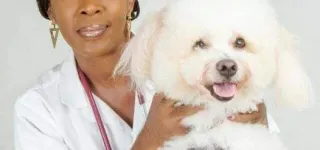 animaux-de-compagnie-40-de-ceux-qui-nen-possedent-pas-courent-le-risque-de-mourir-de-la-crise-cardiaque