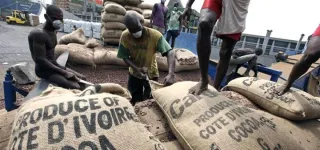 augmentation-du-prix-du-cacao-la-plateforme-ivoirienne-pour-le-cacao-durable-picd-salue-laction-du-gouvernement
