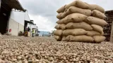 apres le cacao des etats africains optent pour la creation dune bourse pour le cajou