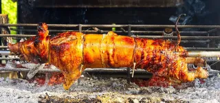 apparition-de-la-peste-porcine-a-bouafle-et-songon-les-consignes-des-veterinaires-aux-consommateurs-de-la-viande-de-porc