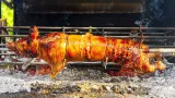 apparition de la peste porcine a bouafle et songon les consignes des veterinaires aux consommateurs de la viande de porc